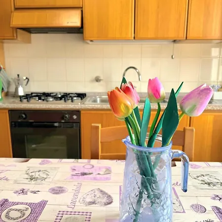 Pier & Francy Appartement